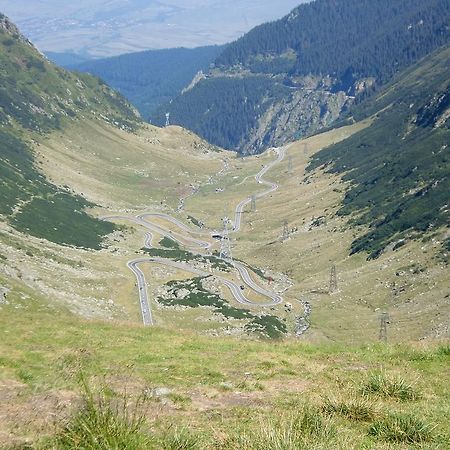 Pensiunea Arpasel Arpaşu de Sus Exterior foto