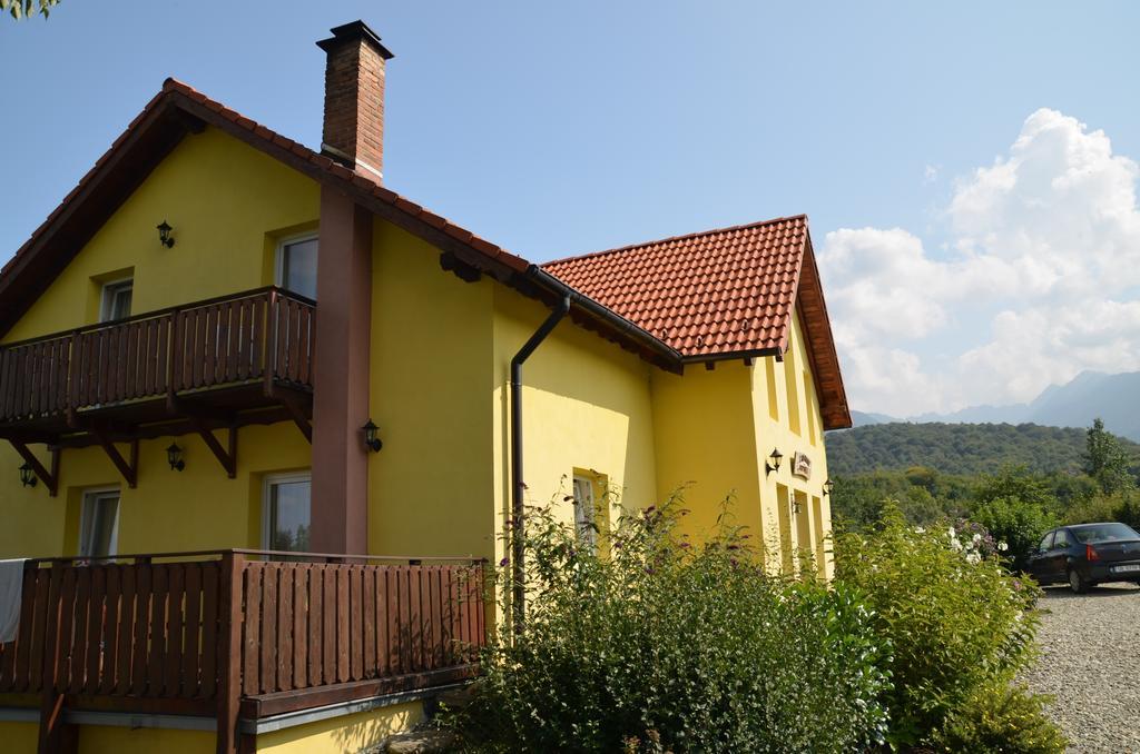 Pensiunea Arpasel Arpaşu de Sus Exterior foto