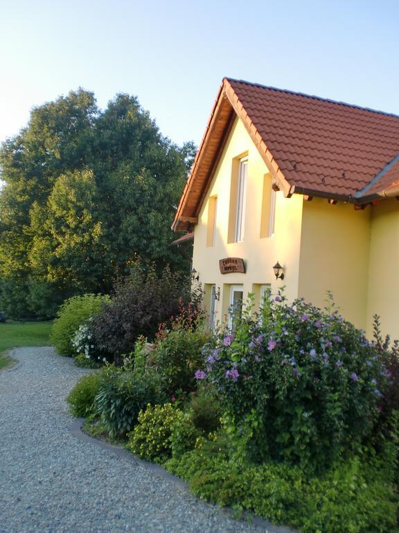 Pensiunea Arpasel Arpaşu de Sus Exterior foto