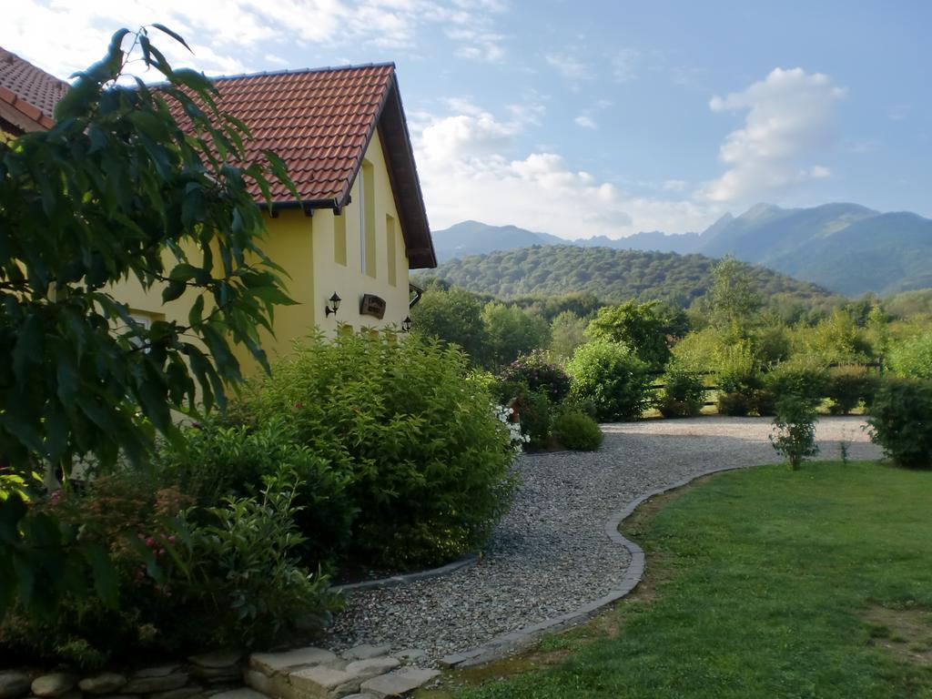 Pensiunea Arpasel Arpaşu de Sus Exterior foto